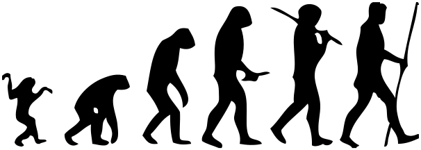 606px-Human_evolution_scheme.svg