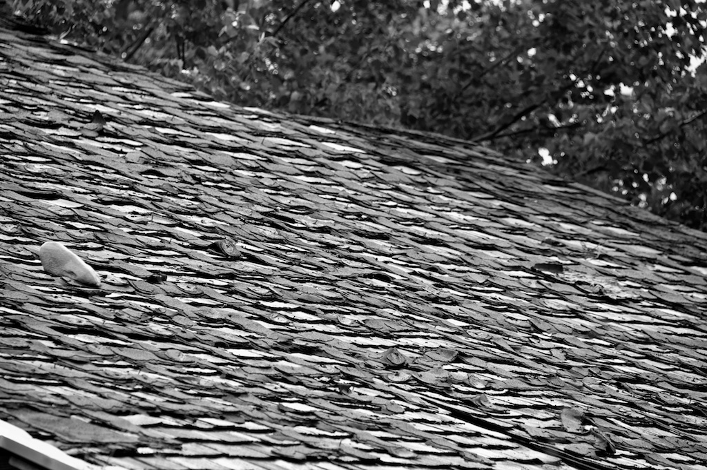 B&W roof with nails